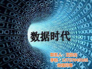 互聯(lián)網(wǎng)教育與大數(shù)據(jù)精準(zhǔn)營(yíng)銷 實(shí)戰(zhàn)演練驅(qū)動(dòng)銷售變革