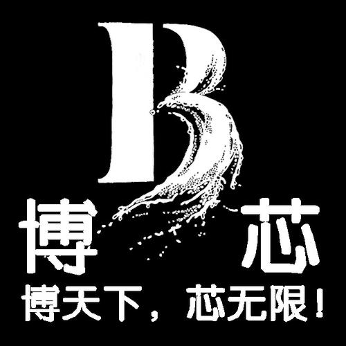 洞察科技脈搏，賦能企業(yè)未來——山東博芯信息科技信息咨詢服務(wù)解析
